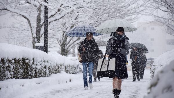 日本、冬 - Sputnik 日本