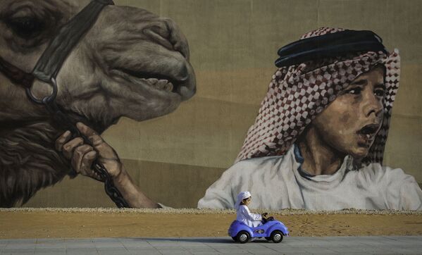 アラブ首長国連邦の写真家Mustafa Jindiさんの作品 - Sputnik 日本