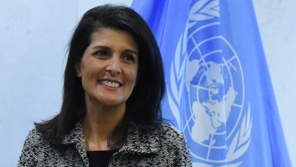 米国連大使：アサド政権よりも「ダーイシュ（ＩＳ）」のほうが重要な問題 - Sputnik 日本