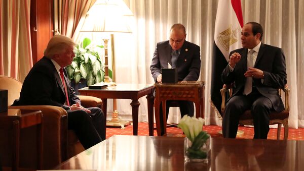 米エジプト首脳会談、関係強化一致 - Sputnik 日本