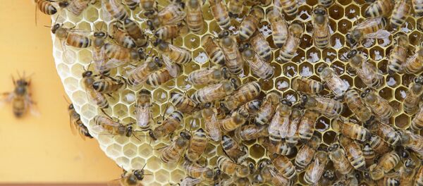 日本　乳児ボツリヌス症で初の死亡例 - Sputnik 日本