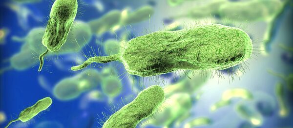 バクテリア - Sputnik 日本