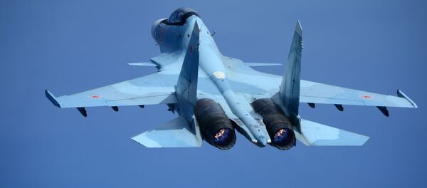 ロシアの学者が、敵のミサイルから航空機を保護するための装置を発明 ロシアの学者が、敵のミサイルから航空機を保護するための装置を発明 - Sputnik 日本