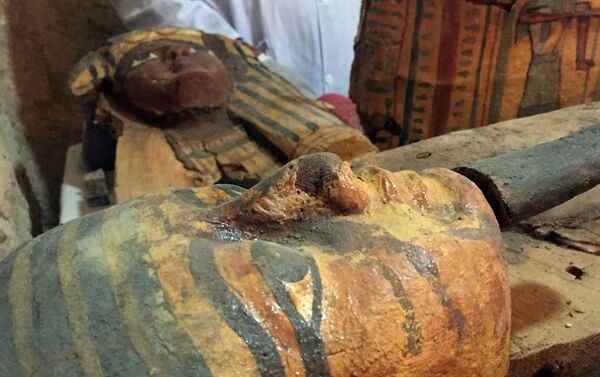 エジプトの考古学者がルクソール近郊で未知の墓を発見 - Sputnik 日本