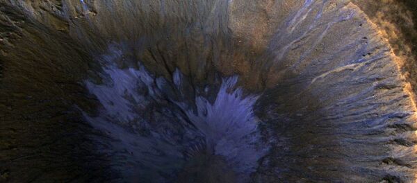 NASAの探査機が火星の溶けた氷の跡を撮影 NASAの探査機が火星の溶けた氷の跡を撮影 - Sputnik 日本