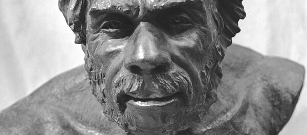 顔の形と気候の関係が明らかになる 顔の形と気候の関係が明らかになる - Sputnik 日本