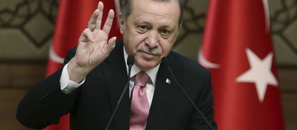 ルペン氏、それともマクロン氏?いや、エルドアン大統領! ルペン氏、それともマクロン氏?いや、エルドアン大統領! - Sputnik 日本