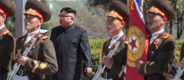 北朝鮮外務次官がロシア大使と会談　朝鮮半島情勢 - Sputnik 日本