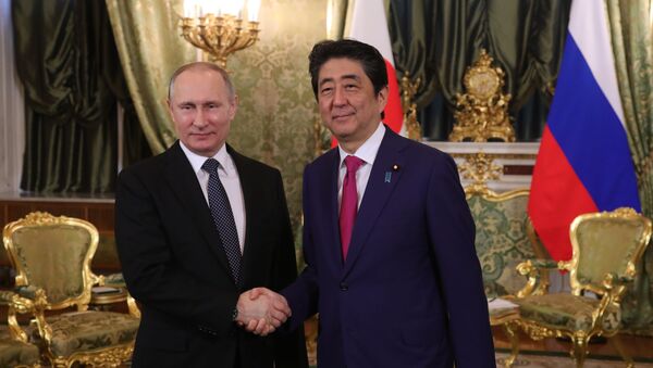 安倍・プーチン会談を日本のエリート政治家たちが前向き評価 - Sputnik 日本