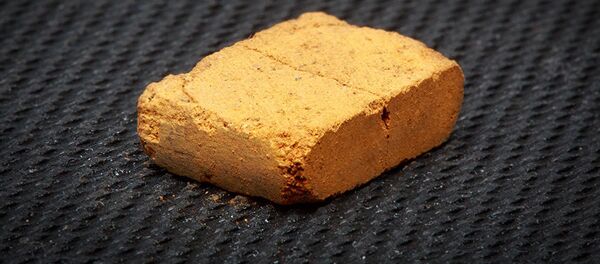 米学者ら 火星にレンガ工場を作るよう提案 米学者ら 火星にレンガ工場を作るよう提案 - Sputnik 日本