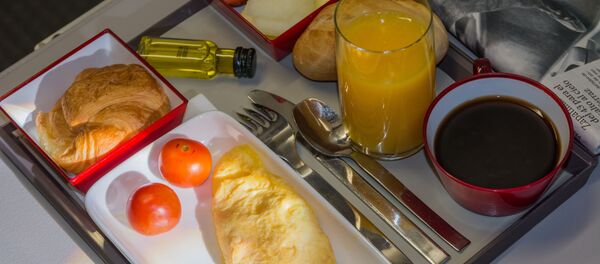 機内食が美味しくないと感じるのはなぜか 機内食が美味しくないと感じるのはなぜか - Sputnik 日本