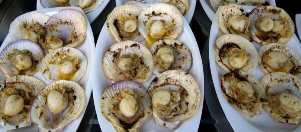 ビザ緩和はすぐそこ！一番近いヨーロッパ、ウラジオストクで巨大ホタテを食べよう【写真】 - Sputnik 日本