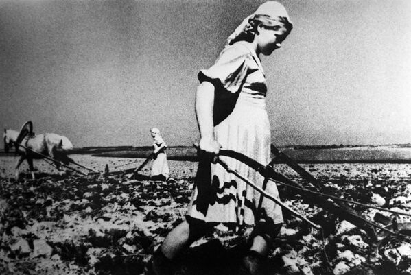 大祖国戦争中、畑を耕す女性 - Sputnik 日本