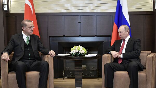 プーチン大統領、トルコとの相互的制裁解除を宣言 - Sputnik 日本