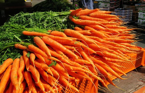 ニンジン - Sputnik 日本