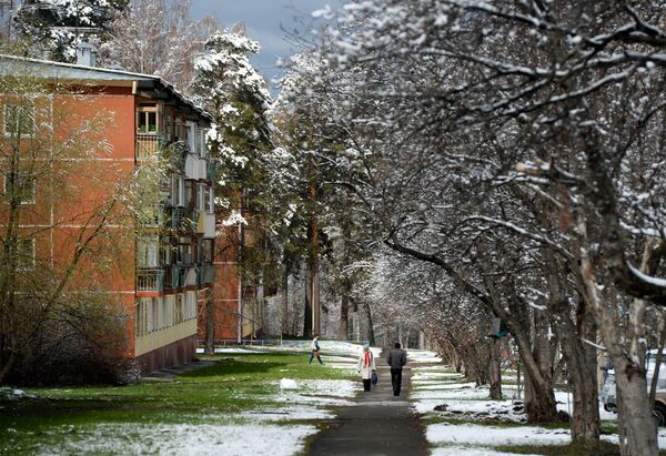 シベリアの有名な学術研究都市「アカデムゴロドク」　降雪後の通りにいる人々 - Sputnik 日本