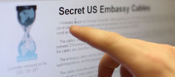 不可解な殺害 ウィキリークスのもうひとりの情報提供者の名が明らかに 不可解な殺害 ウィキリークスのもうひとりの情報提供者の名が明らかに - Sputnik 日本