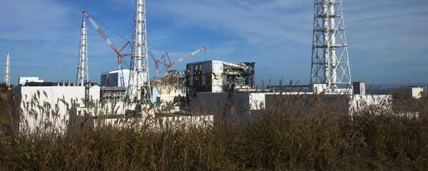 「ロスアトム」、福島第1原発の「核溶岩」の挙動を予測する方法を計画する 「ロスアトム」、福島第1原発の「核溶岩」の挙動を予測する方法を計画する - Sputnik 日本
