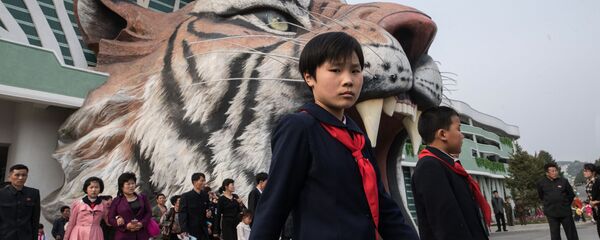 米、北朝鮮渡航禁止か 米、北朝鮮渡航禁止か - Sputnik 日本