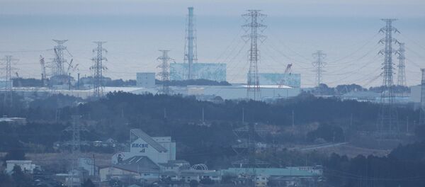 福島 - Sputnik 日本