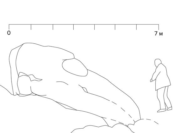 「ドラゴン」 「ドラゴン」 - Sputnik 日本