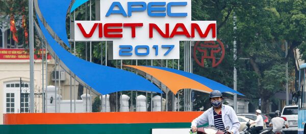 APEC貿易相会合がハノイで開幕 APEC貿易相会合がハノイで開幕 - Sputnik 日本