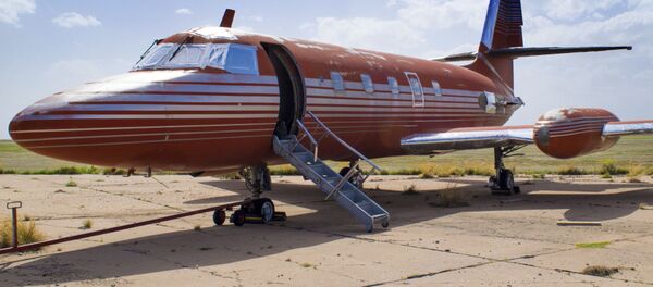 エルビス・プレスリーの自家用機が競売へ エルビス・プレスリーの自家用機が競売へ - Sputnik 日本
