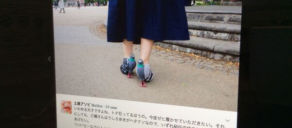 日本の「ハトヒール」がネットを魅了する！【写真】 - Sputnik 日本