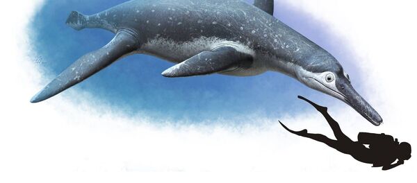 Luskhan itilensis Luskhan itilensis - Sputnik 日本