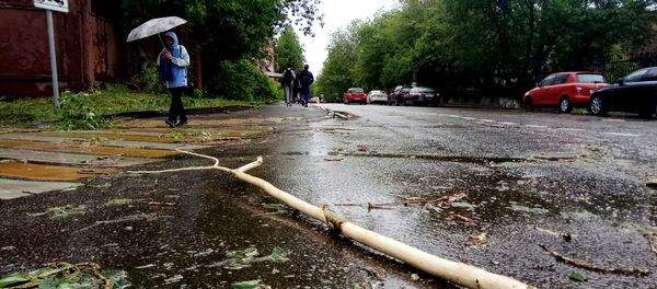 モスクワで嵐で倒れた木 モスクワで嵐で倒れた木 - Sputnik 日本