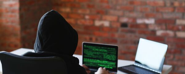 ハッカー ハッカー - Sputnik 日本