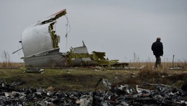 オランダ人のブロガー：MH17墜落現場の写真は捏造 - Sputnik 日本