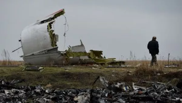 さらに3か国がマレー機MH17便墜落事故に関する国際法廷創設に賛成 - Sputnik 日本