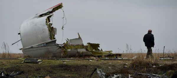 さらに3か国がマレー機MH17便墜落事故に関する国際法廷創設に賛成 - Sputnik 日本