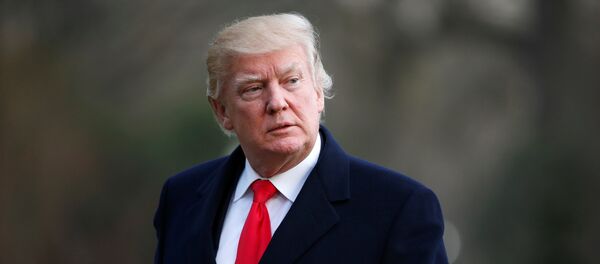 トランプ大統領 - Sputnik 日本