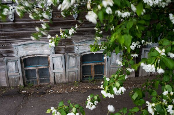 りんごの花咲き　オムスク州、タラ市 - Sputnik 日本
