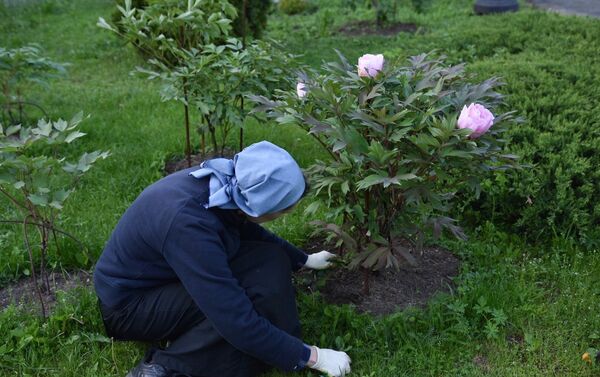 マルフォ・マリインスカヤ修道院で庭園の世話をする修道女 - Sputnik 日本
