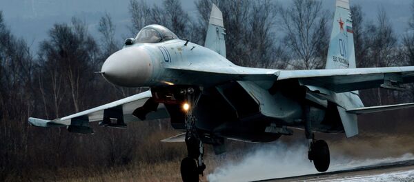 露戦闘機Su-27 - Sputnik 日本