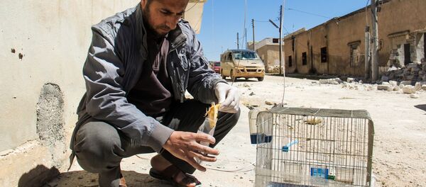 米国、「ダーイシュ（IS）」幹部を制裁の対象に　化学兵器開発で - Sputnik 日本