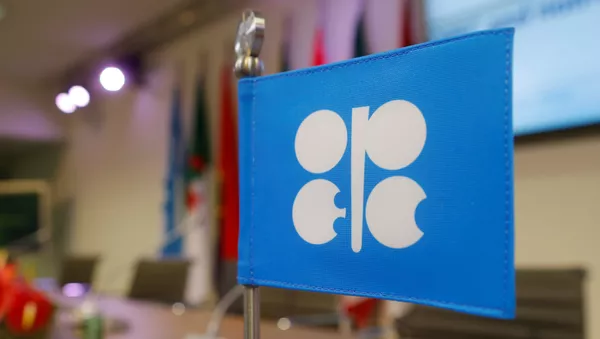 A flag with the Organization of the Petroleum Exporting Countries (OPEC) logo is seen before a news conference at OPEC's headquarters in Vienna, Austria, December 10, 2016