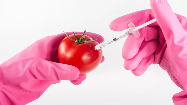 遺伝子組み換え食品：普通の食べ物、それとも生物兵器？