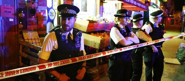 ロンドン車突入　容疑者は「全イスラム教徒の殺害」を望んでいた - Sputnik 日本
