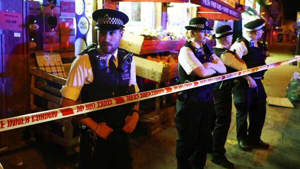 ロンドン車突入　容疑者は「全イスラム教徒の殺害」を望んでいた - Sputnik 日本