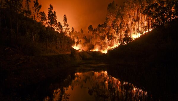 ポルトガルで山火事 - Sputnik 日本