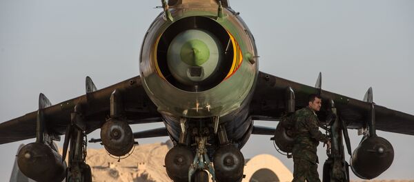 シリア軍の戦闘機「スホイ22」(SU-22) シリア軍の戦闘機「スホイ22」(SU-22) - Sputnik 日本