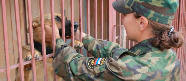 警察 警察 - Sputnik 日本