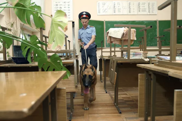 ロシア内務省で勤務中の犬 ロシア内務省で勤務中の犬 - Sputnik 日本