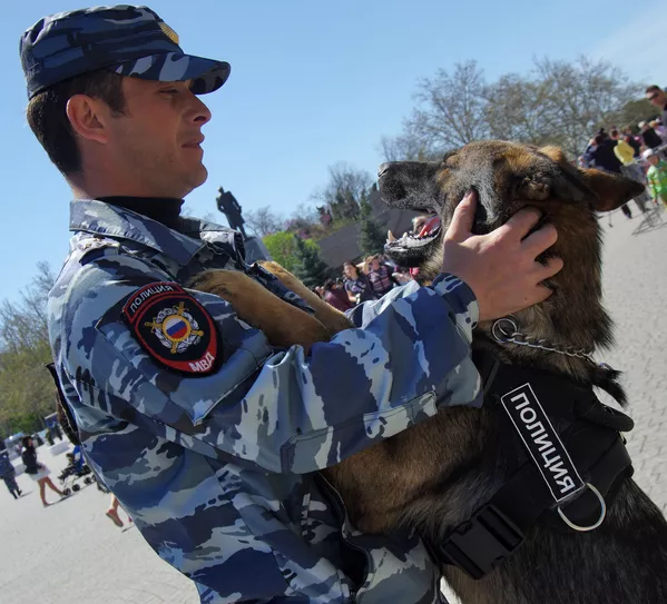 ロシア内務省で勤務中の犬 ロシア内務省で勤務中の犬 - Sputnik 日本