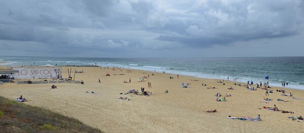 フランス南西部ランド県にあるミミザンビーチ フランス南西部ランド県にあるミミザンビーチ - Sputnik 日本