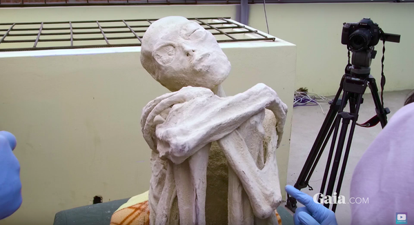 宇宙人？ - Sputnik 日本